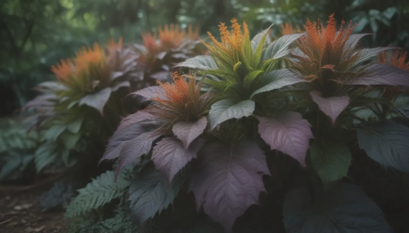 Understanding Acid-Loving Plants: A Guide to 13 Plants That Thrive in Acidic Soil