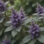 The Ultimate Guide to Growing and Caring for Bugleweed