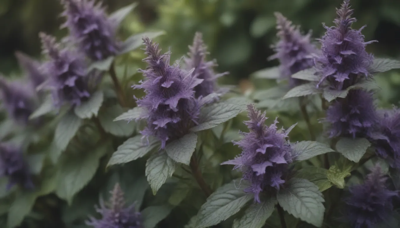 The Ultimate Guide to Growing and Caring for Bugleweed