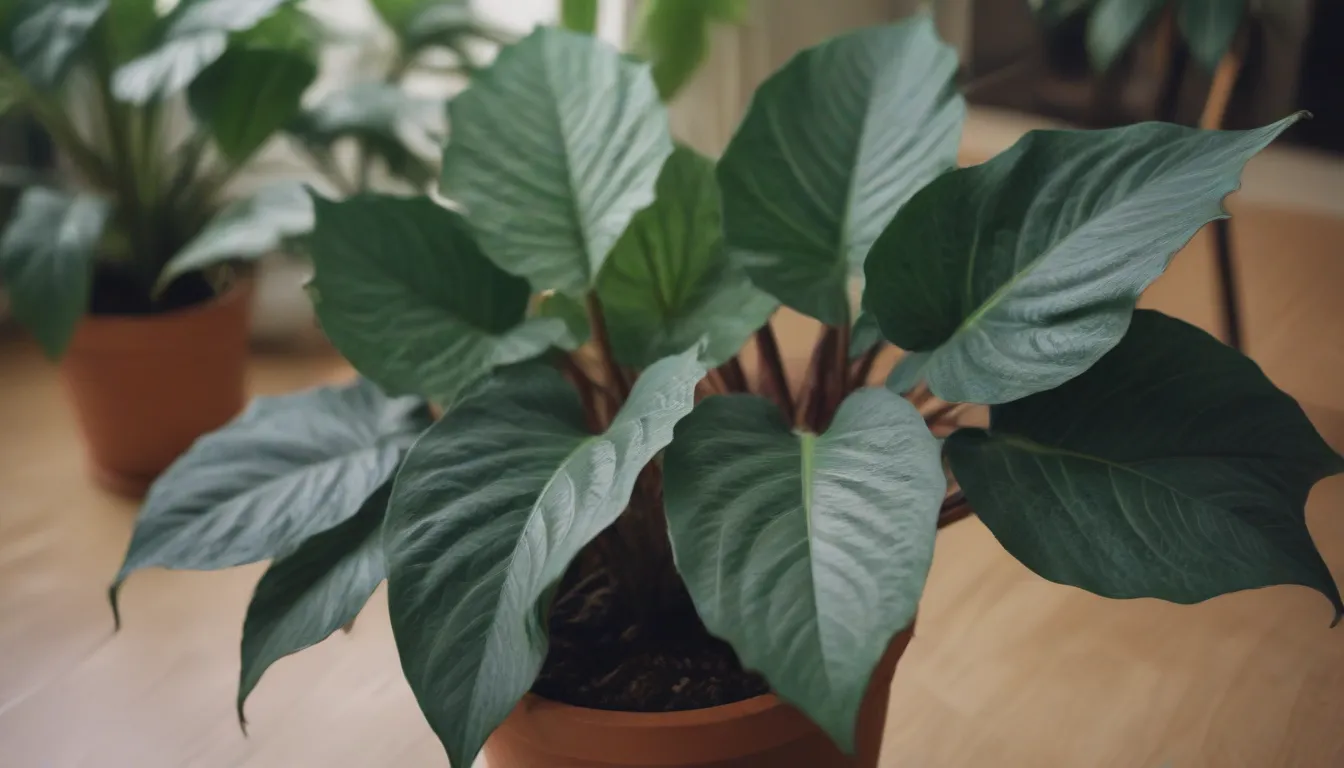 Ultimate Guide to Growing and Caring for Alocasia Polly Houseplant