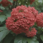 The Ultimate Guide on Growing and Caring for Arrowwood Viburnum