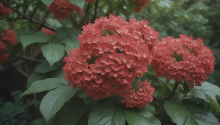 The Ultimate Guide on Growing and Caring for Arrowwood Viburnum