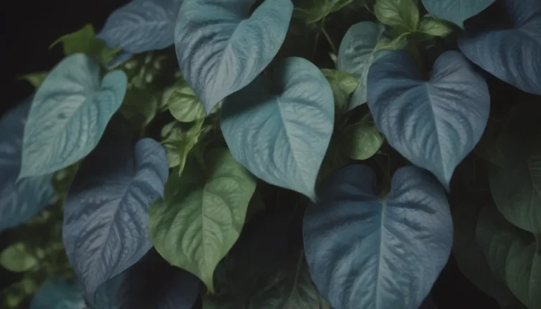 Baltic Blue Pothos: A Complete Care Guide