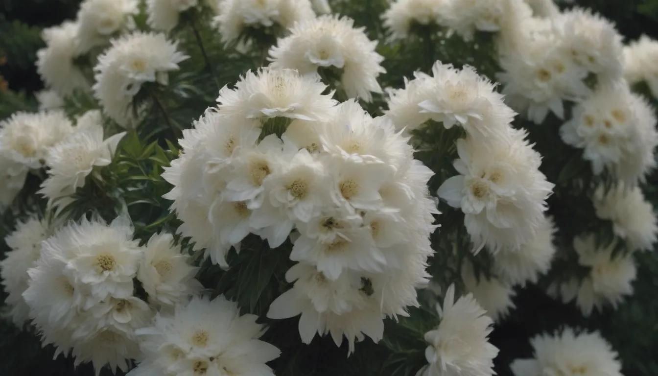 The Top 10 Stunning Shrubs with White Flowers