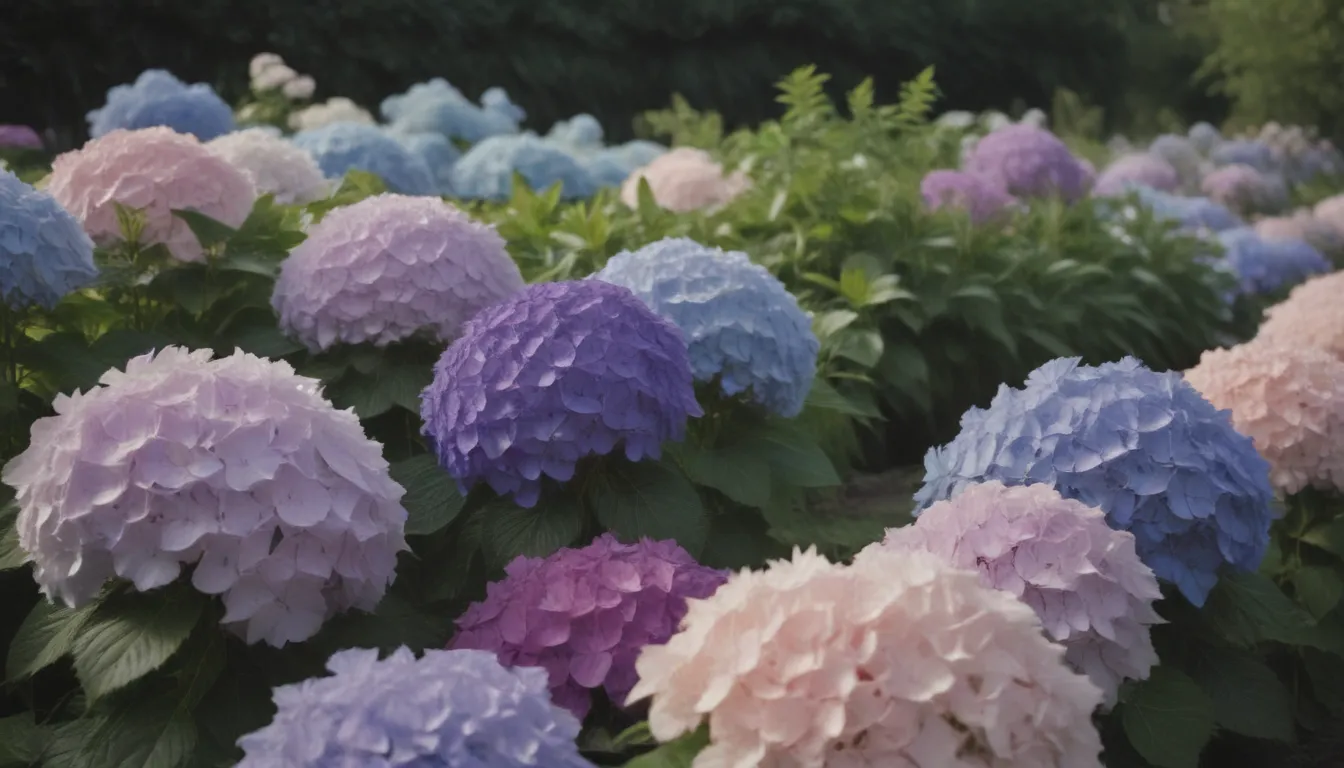 The Ultimate Guide to Planting Hydrangeas: Tips and Tricks for Success