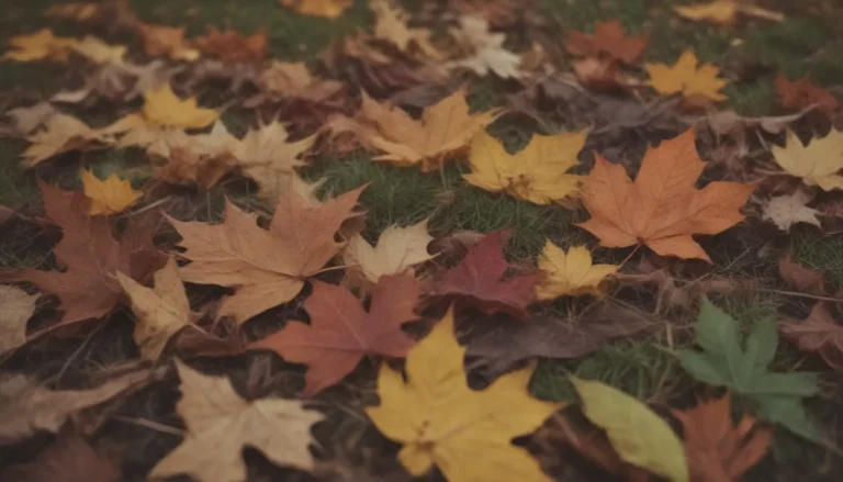 The Ultimate Guide to Managing Autumn Leaves: Mulching, Raking, and Composting