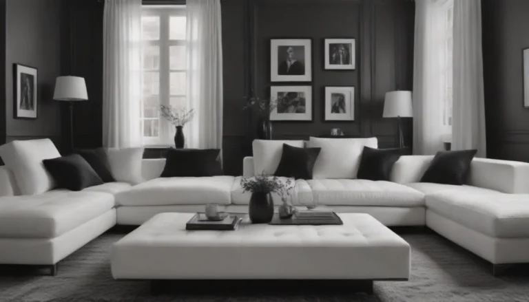 A Comprehensive Guide to Black and White Living Room Ideas