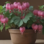 Complete Guide: How to Successfully Grow Bleeding Heart Plants Indoors