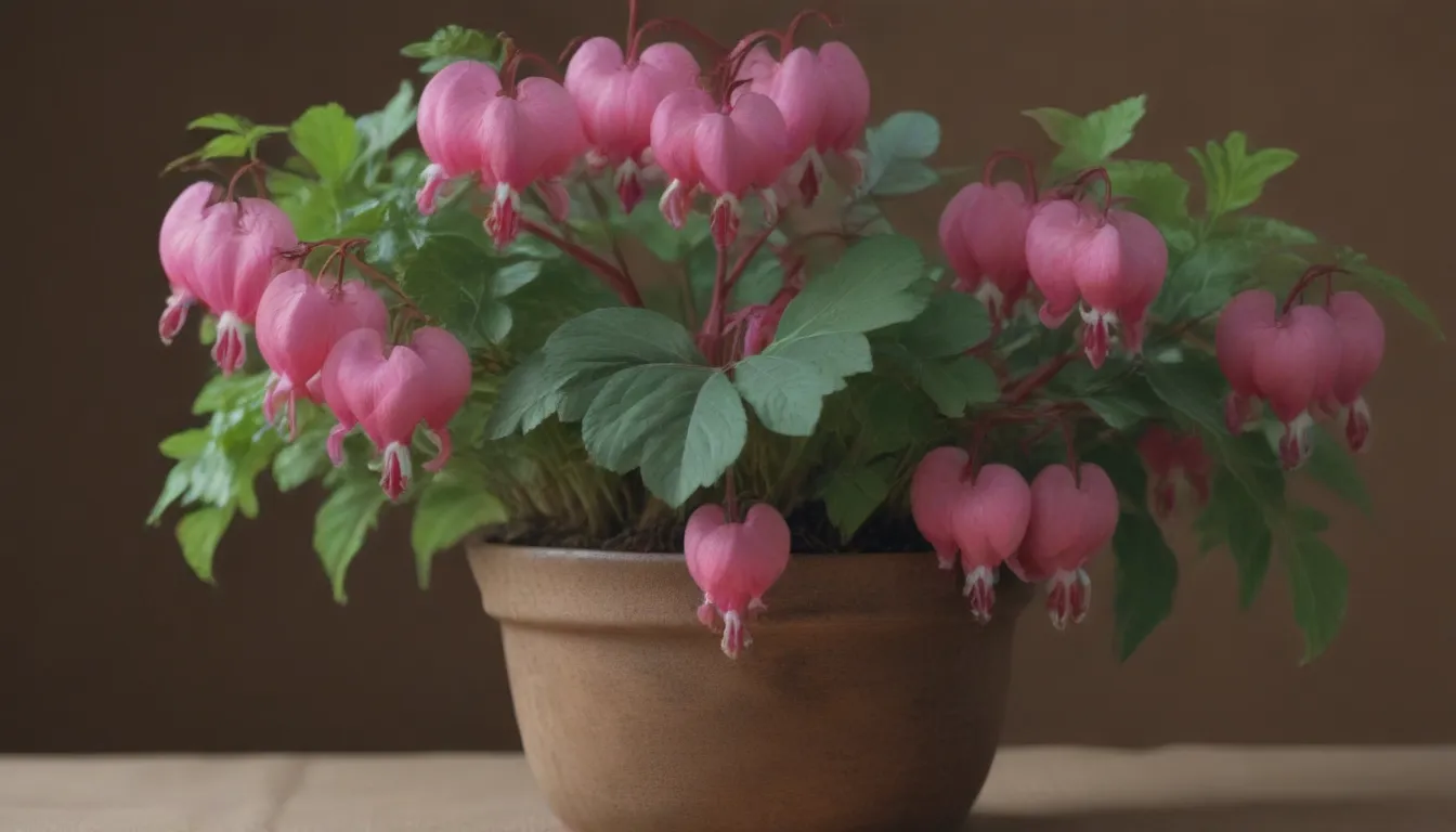 Complete Guide: How to Successfully Grow Bleeding Heart Plants Indoors