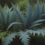 Ultimate Guide to Growing and Caring for Blue Star Ferns