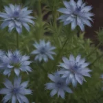 Everything You Need to Know About Growing Blue Star (Amsonia) Flowers