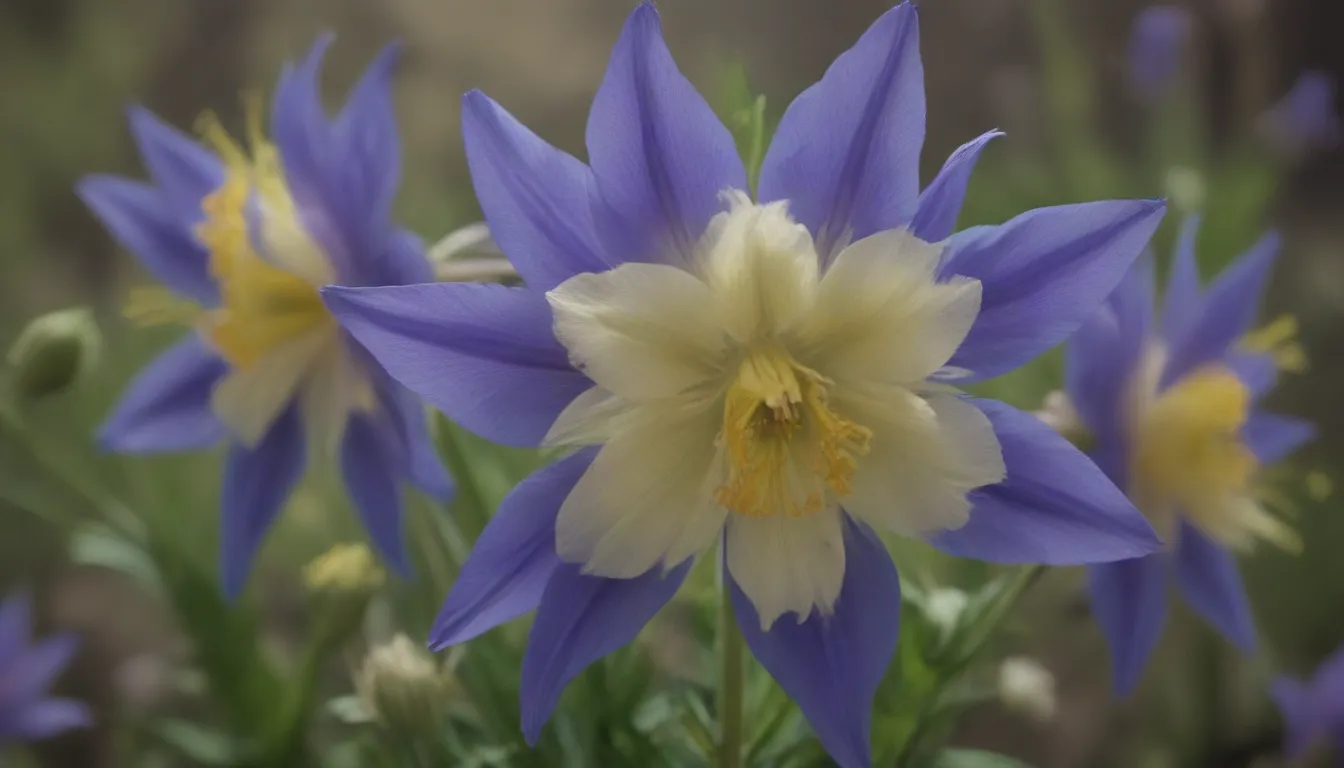 A Comprehensive Guide to Growing and Caring for Columbine