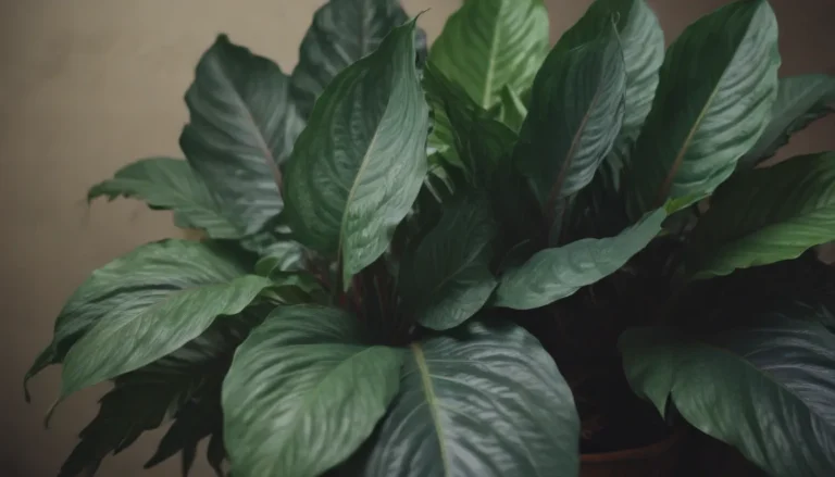 Discover the Beautiful World of Calathea: A Guide to 35 Stunning Varieties