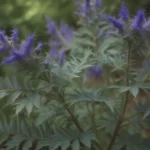 A Comprehensive Guide to Growing Caryopteris