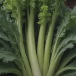 A Comprehensive Guide to Celery Companion Plants for a Thriving Garden