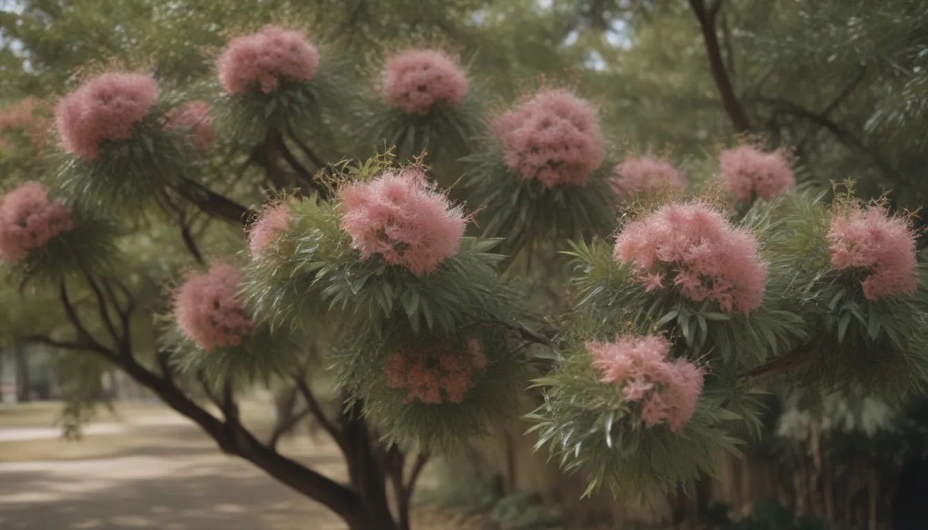 Ultimate Guide to Chinese Fringe Trees: Care, Growth, and Beautiful Blooms