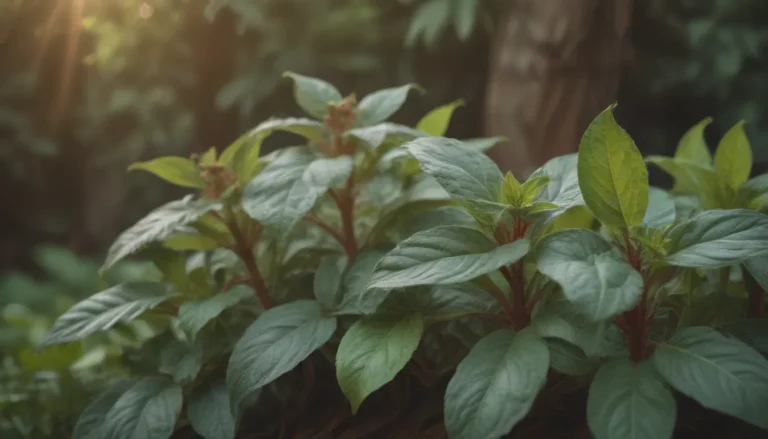 The Ultimate Guide to Growing Cinnamon Basil in Your Herb Garden