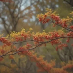 Ultimate Guide to Growing and Caring for Cornelian Cherry Dogwood