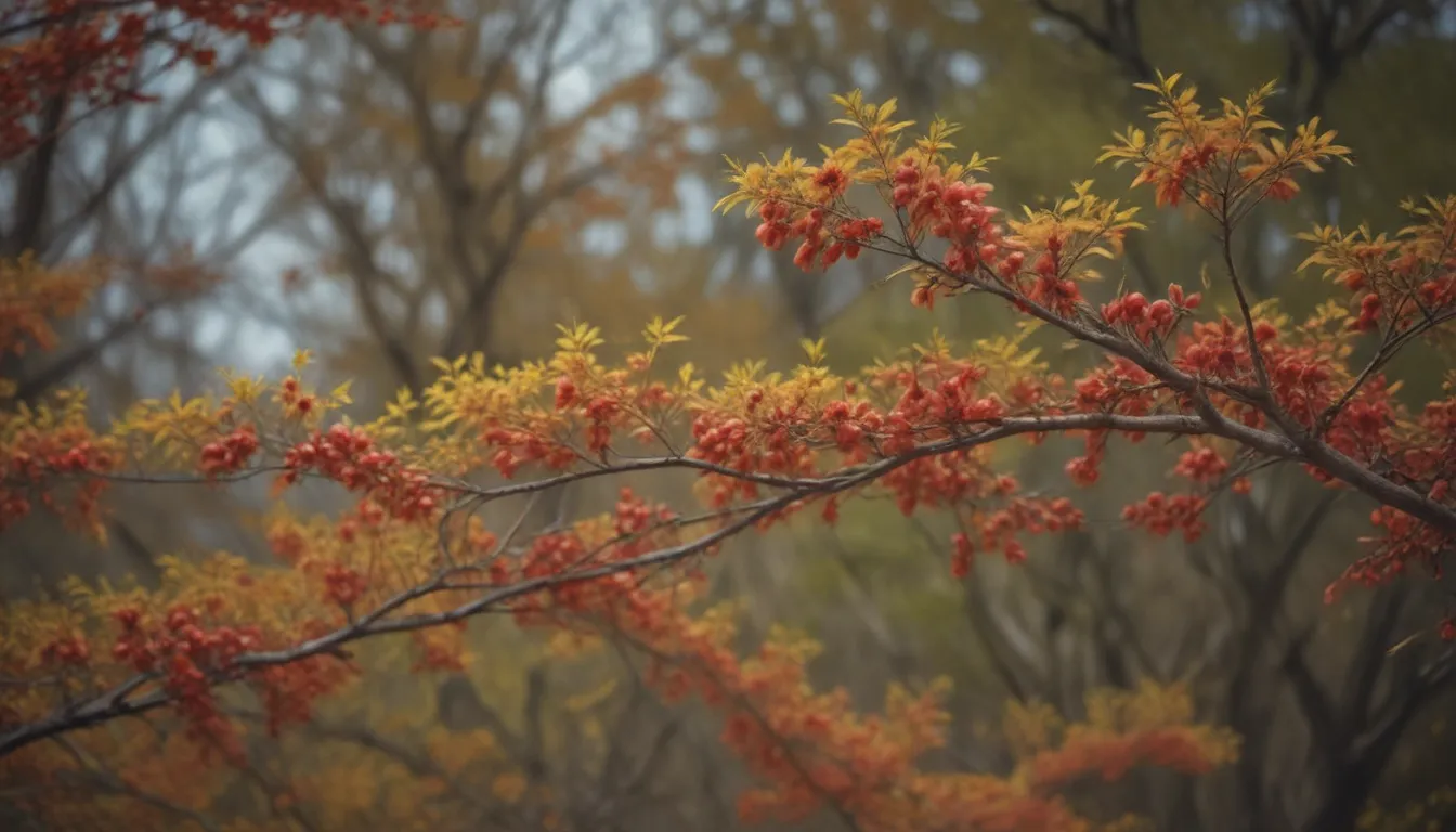 Ultimate Guide to Growing and Caring for Cornelian Cherry Dogwood