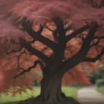 Ultimate Guide: Growing and Caring for Crimson Queen Japanese Maples