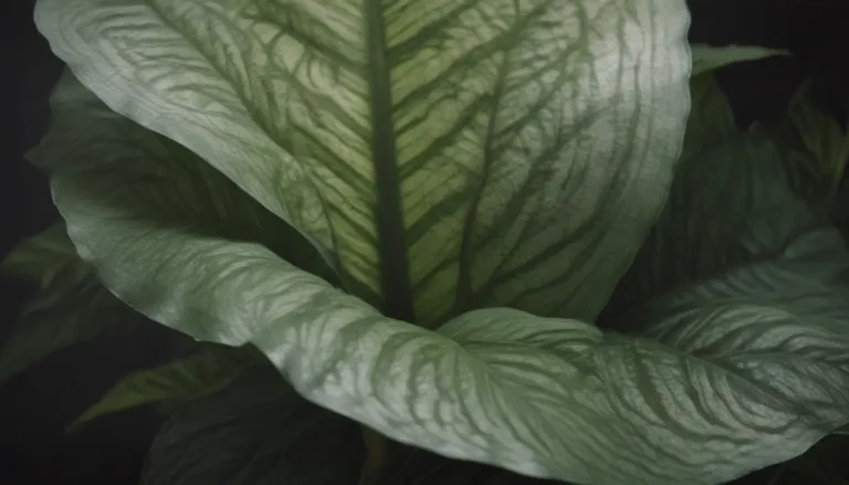 Ultimate Guide to Growing and Caring for Dieffenbachia Seguine