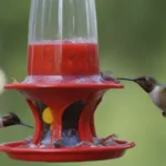 Creating Your Own DIY Hummingbird Feeder: 12 Ingenious Ideas