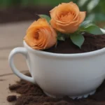 Are Coffee Grounds Good for Roses? An In-Depth Guide to Using Coffee Grounds in Your Garden