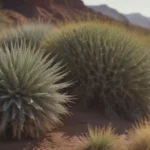 A Guide to Easy Desert Plants for Your Yard