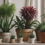 Top Easy Houseplants for Any Home: A Comprehensive Guide for Beginners