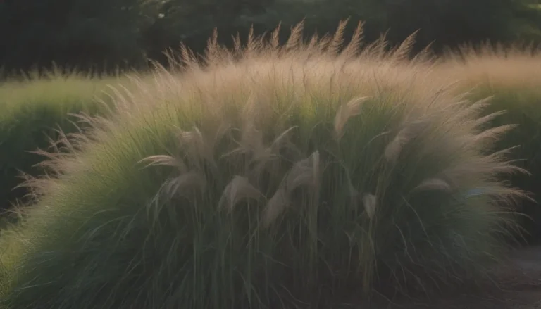 Transform Your Landscape with Ornamental Grasses: A Comprehensive Guide