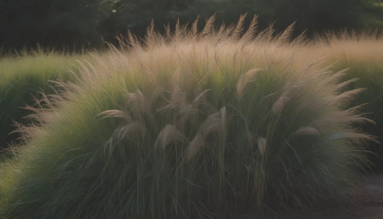 Transform Your Landscape with Ornamental Grasses: A Comprehensive Guide