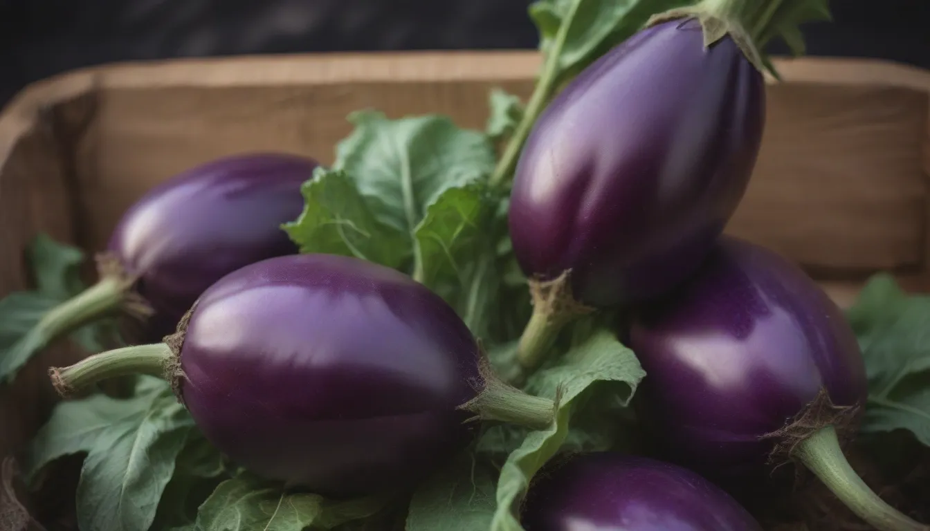 The Ultimate Guide to Eggplant Companion Planting in Your Garden