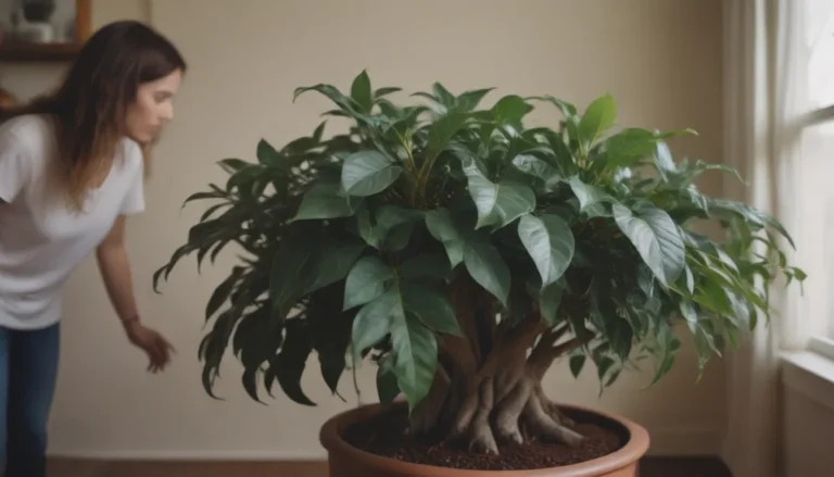 How to Grow and Care for Ficus Tineke: A Complete Guide