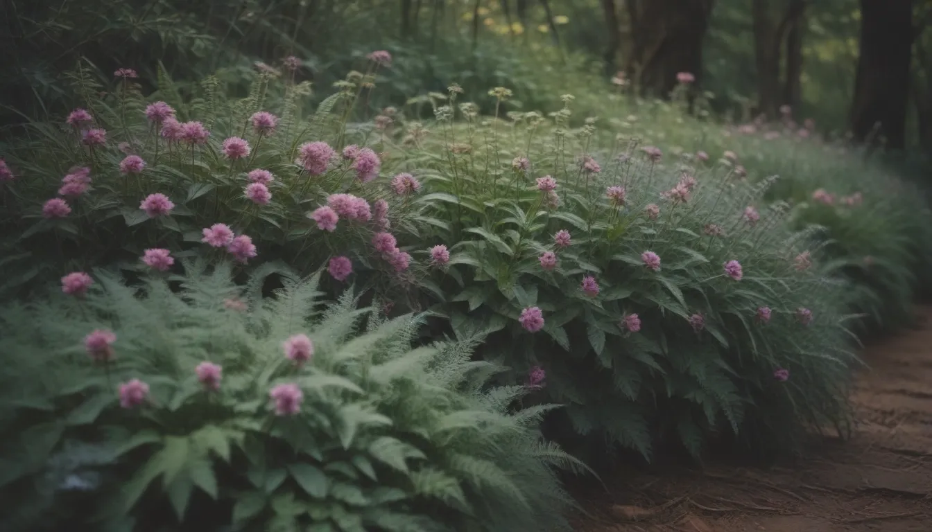 The Ultimate Guide to Flowering Ground Covers: 19 Beautiful Options for Your Landscape