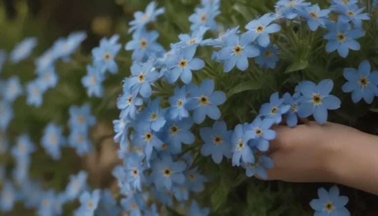 The Ultimate Guide to Forget-Me-Not: Plant Care, Growing Tips, Symbolism, and More