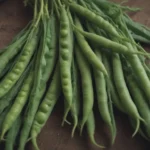 The Ultimate Guide to Growing Different Types of Peas in Your Garden