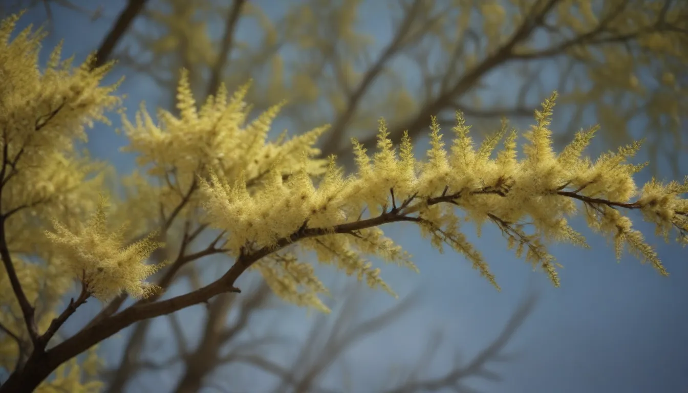 Complete Guide to Growing and Caring for Goat Willow