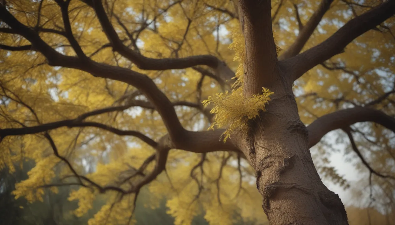 The Ultimate Guide to Growing and Caring for Golden Chain Trees