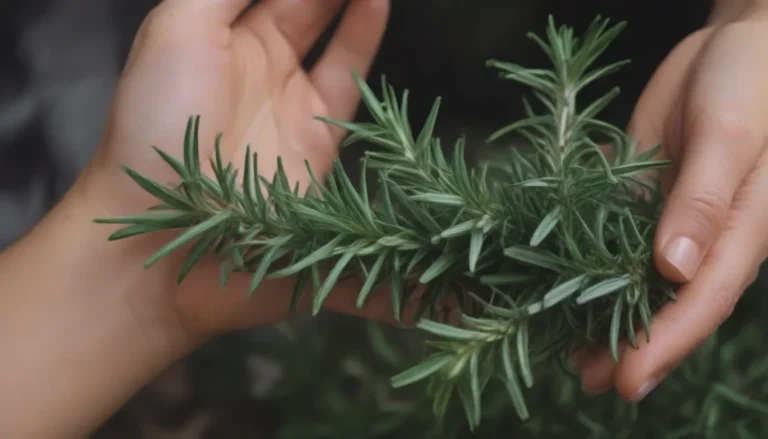 Ultimate Guide to Growing and Caring for Rosemary