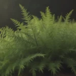 Comprehensive Guide on Growing and Caring for Asparagus Fern