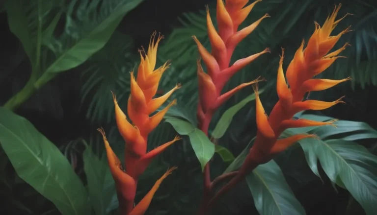 Your Ultimate Guide to Growing Heliconia (Lobster Claw) Indoors