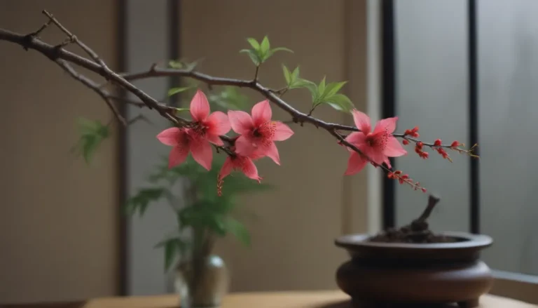 Comprehensive Guide: Growing and Caring for Japanese Spindle Indoors