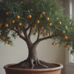 How to Successfully Grow and Maintain a Kumquat Tree Indoors