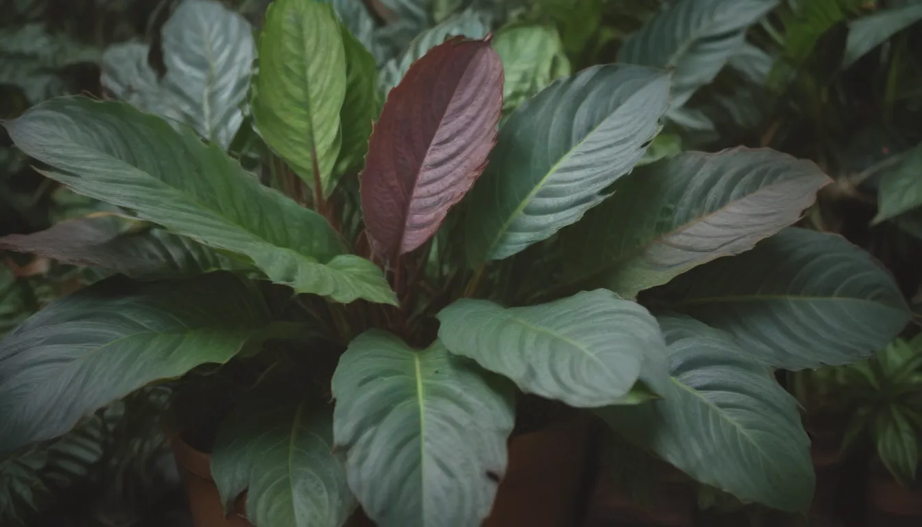 The Ultimate Guide to Prayer Plant Care and Growing