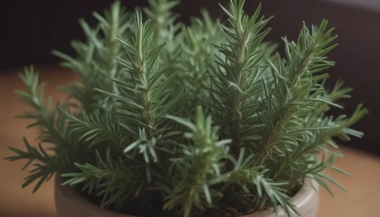 The Ultimate Guide to Growing and Caring for Rosemary Indoors