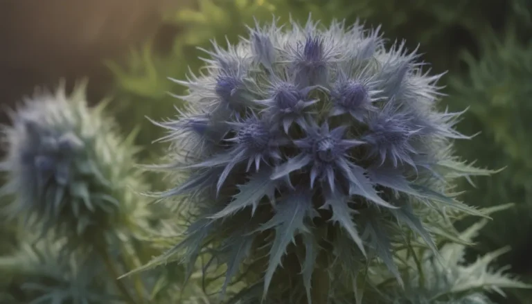 The Complete Guide to Growing and Caring for Sea Holly