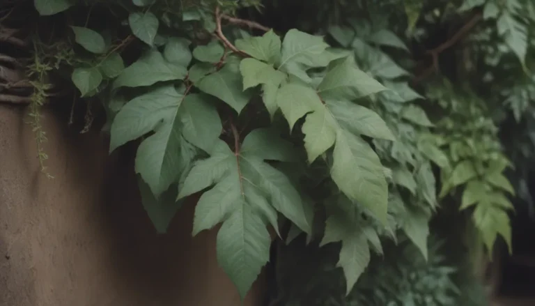 The Ultimate Guide to Growing and Caring for Arrowhead Vines