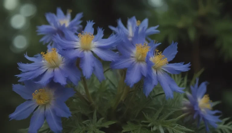 Everything You Need to Know about Growing and Caring for Blue Spur Flowers