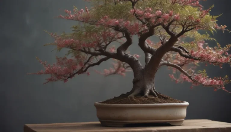 Complete Guide on Growing and Caring for Cherry Tree Bonsai