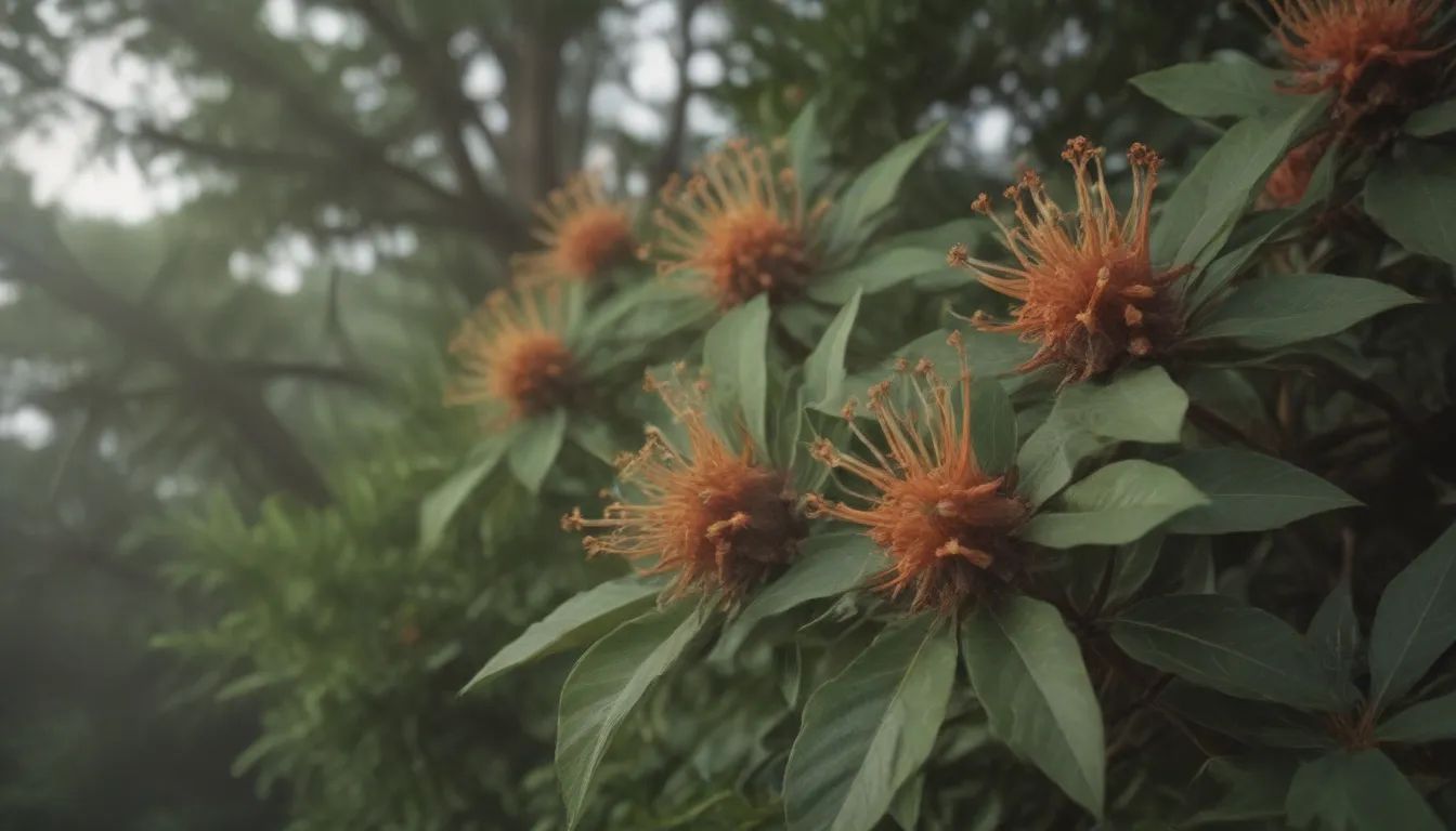 The Ultimate Guide to Growing and Caring for Clove Trees